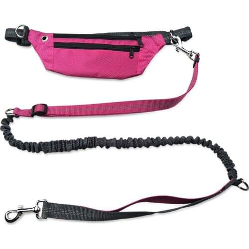 Upgrade Pet Running Leash Dog Leads Harnesses Waist Jogging Walking Waterproof Pockets Dog Belt Elastic Dog Leash Pet Supplies