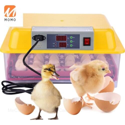 Good Quality Mini 24 Full Automatic Eggs Incubator For Chicken, Quail, Duck Eggs