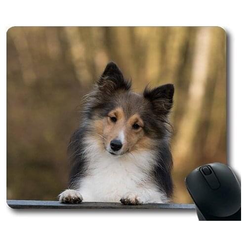Golden retriever puppy dog,Dog Sheltie Close Up,dogs mouse mat