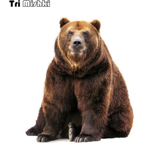 WCS920 13x15cm Lovely Brown Bear car sticker PVC coloful Decals Motorcycle Accessories sticker