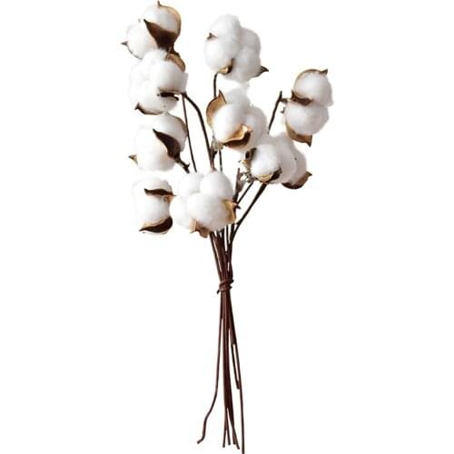 White 9 stems natural dry flower cotton branches artificial cotton branches Free Shipping