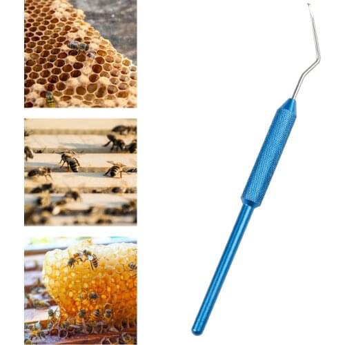 Stainless Steel Larva Grafting Needle Tool Honey Bee Queen Larvae Moving Rearing System Beekeeping Tools