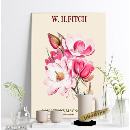 Walter Hood Fitch Exhibition Museum Poster Magnolia Campbellii Illustrations Canvas Painting Flowering Plant Art Prints Decor