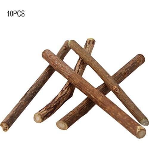 Natural Catnip Pet Cat Molar Toothpaste Stick Matatabi Actinidia Fruit Silvervine Cat Snacks Sticks Pet Cleaning Teeth