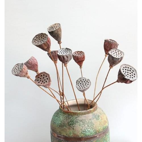 10Pcs Lotus Natural Dried Flowers Farmhouse Dried Plant Branch Fall Decorations For Home Party Office Decorative Pressed Floral