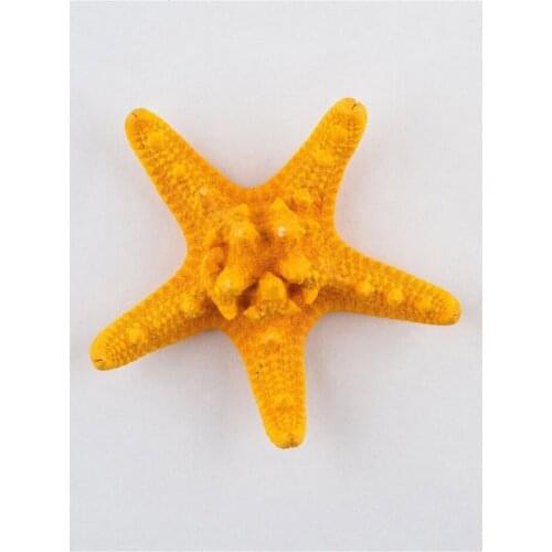 Декоративные ракушки Zlatka China At AliExpress