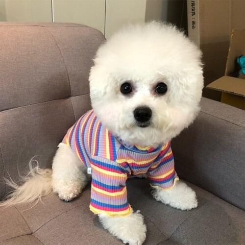 New Spring Puppy Pet T-shirt Soft Adorable Dog Clothes Vest Striped Rainbow Cotton T-shirts Comfort Pet Dog Vest Clothes