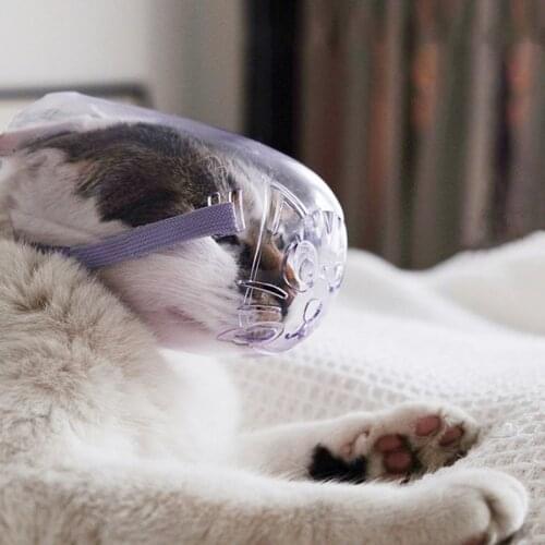 Pet Dog Mouth Cover Transparent Anti Barking Dog Muzzle for Small Large Dogs Adjustable Pet Mouth Cover Supplies