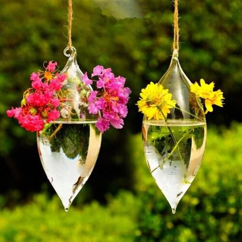Diameter=8cm Pointed Water Drop Glass Terrarium Vase Creative Olive Shaped Hydroponic Hanging Vase Home Decoration Glass Vase