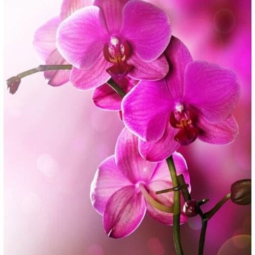 New 100% Full Area Diamond Cross Stitch Rose Red Magnolia 3D Diamond Painting Kit DIY Diamond Embroidery Needlework