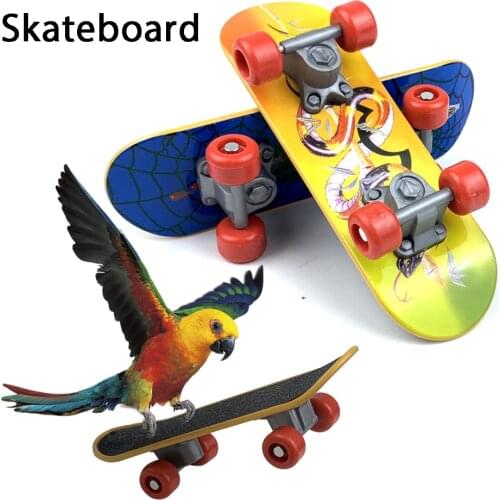 Skateboard Bird Parrot Toys For Small Bird Toy Parrot Intelligence Mini Skate Training Grinding Claw Bird Accessories Budgies