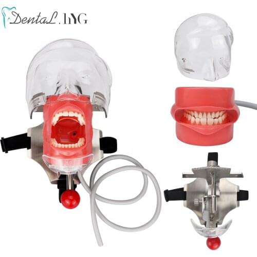Head Model Dental Simulator The Head Model Can Be Installed On The Pillow Of The Dental Chair It Is Used For Dentist Teaching