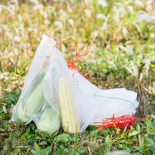 50PCS Garden Plants Vegetable Fruit Protection Bag Anti Bird Drawstring Netting Mesh Bag garden supplies
