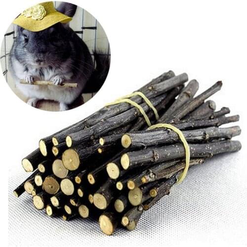 Natural Wood Chew Sticks Twigs Toy Teech Cleaning Pet Supplies For Small Pets Rabbit Hamster Guinea Pig Small Animals Products