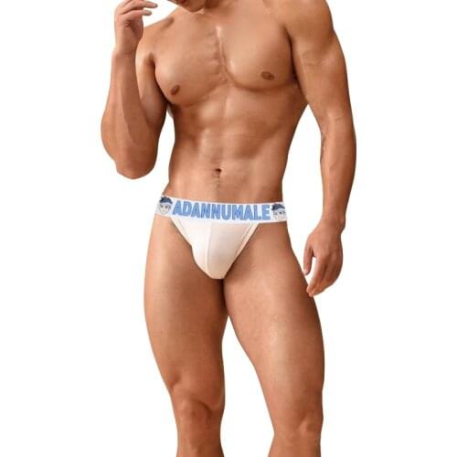 Men Underwear Modal Briefs Homme Bikini Mens Erotic Panties Gay Sexy Underpants Cuecas Sissy Multi Style Cotton Male Lingerie