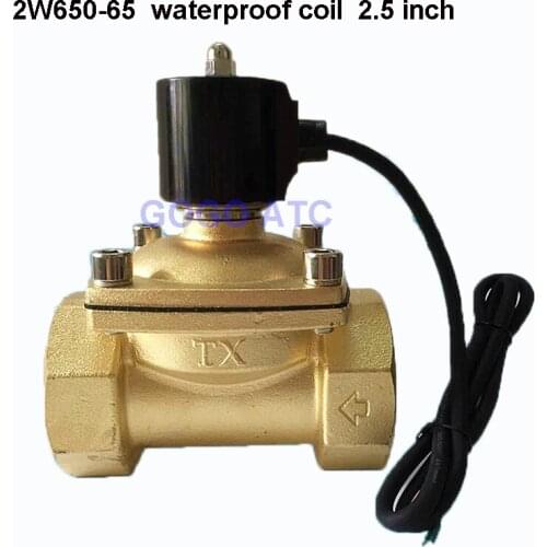 2.5 inch waterproof solenoid valve 2W650-65 underwater jump spring solenoid valve full copper water valve gas valve DN65