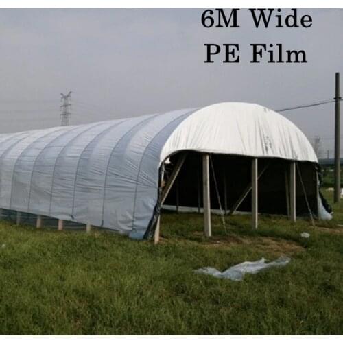 6M Wide Greenhouse Film Thickened Waterproof and Windproof Black and White Plastic Film Agricultural Breeding Insulation Film
