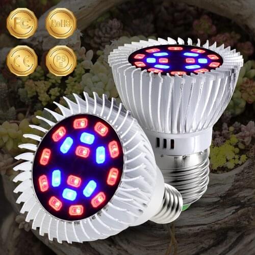 CanLing LED Lightening