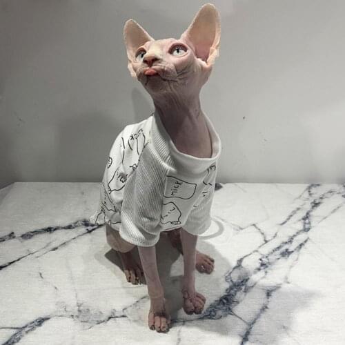 Casual T-shirt Elastic Loose High Collar Breathable Cotton Cat Two-legged Shirt For Summer White All-match Blouse For kittens
