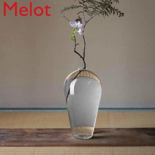 Zen Glass Vase Hydroponic Transparent Vase Flower Arrangement Plum Vase Hydroponic Home Living Room Decoration Ornaments