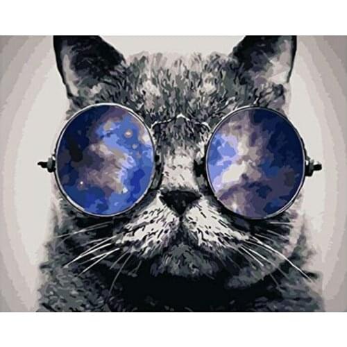 DIY 40X50 Oil Painting By Numbers Sunglasses cat Paint by numbers On Canvas Home Decor Digital Painting chrismas gift