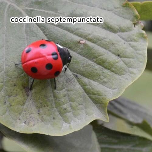 10PCS 5*4CM Clay Art Animal Figurines High Imitation Ladybug In Red With Magnet In Abdomen.DIY Fairy Garden Miniatures,Kids Toys