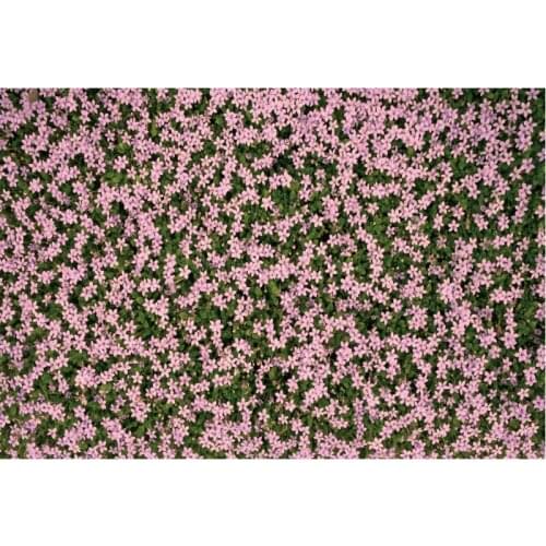 Mauve Flowers Scenery Party Photography Backdrop Baby Shower Natural Room Decor Photo Booth Studio Prop
