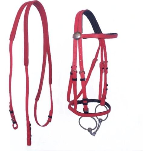 Durable Horse Head Collar Halter Horse Riding Bridle High-quality PVC Horse Racing Equestrian Equipment