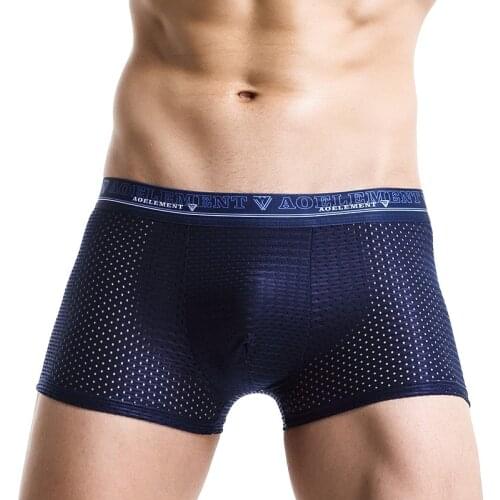 Sexy Mens Underwear Boxers Shorts Ice Silk Panties Man Breathable Mesh Pouch Underpants Male Clothes Cueca Calzoncillo Plus Size