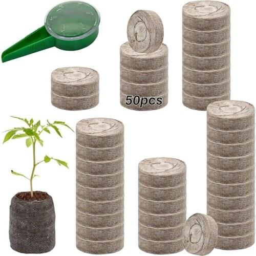 GTBL 50 Pcs 40mm Peat Pellet Soil Plant Starters Seed Fertilizer Nutrient Block Compressed Peat Block for Grow Herbs,Flowers