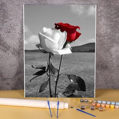 Flower Rose Painting By Numbers Kit Acrylic Paints 40*50 Oil Painting Home Decor Crafts For Adults For Wholesale