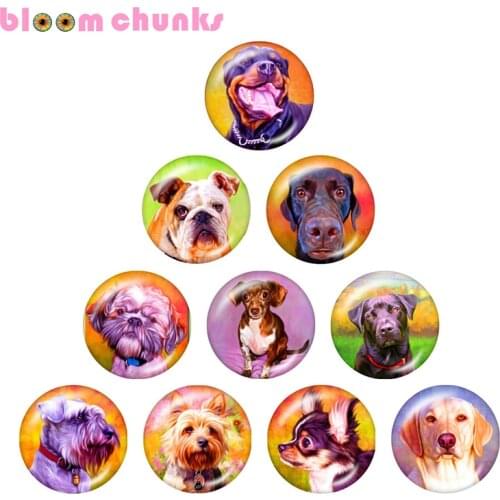 Dog art 10pcs mixed 12mm/18mm/20mm/25mm Round photo glass cabochon demo flat back Making findings S1514