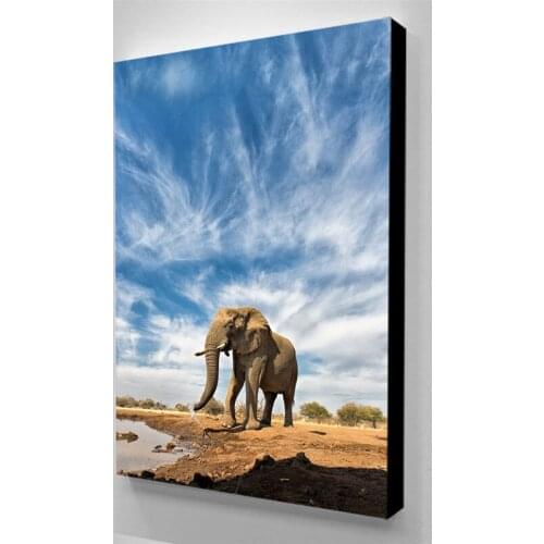 Canvas Paintings Elephant Wall Art Home Decor Beautiful Sky Animal Poster HD Prints Modular Pictures Living Room No Framework
