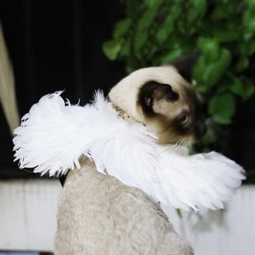 Pet Dog Feather Wings Clothes Puppy Halloween Cosplay Angel Costume Dogs Festival Photographic Props Clothing