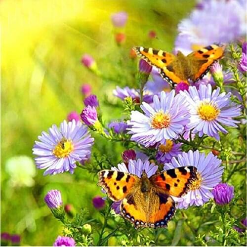 Full Square Diamond Painting Butterfly 5D Diy Diamond Embroidery Animals Cross Stitch Picture Of Rhinestones Home Decor