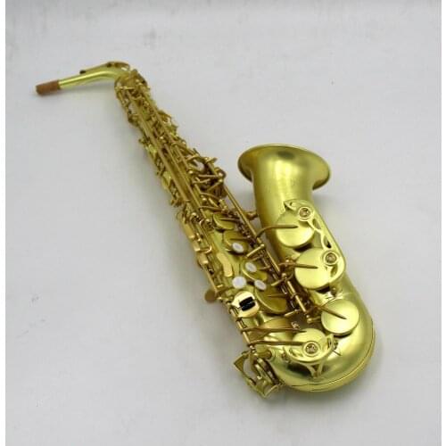 2020 Double 11 Promotion Professional Alto Saxophone Eb Tune New Unlacquer Brass Plated With Case Free Shipping