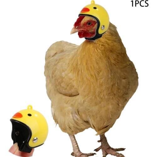 Chicken Helmet Small Pet Hard Hat Bird Hat Headgear Pet Chicken Helmet Protect The Chickens Head Helmet Rooster decoration
