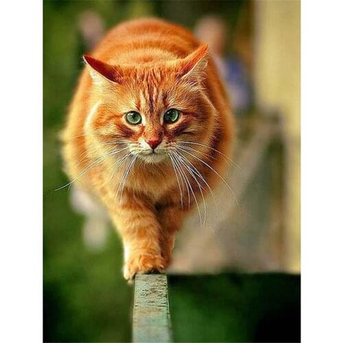 Lovely Cat Animal Printed Water-Soluble Canvas 11CT Cross-Stitch DIY Embroidery Patterns DMC Threads work Different