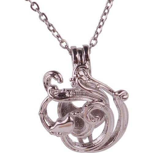 10pcs Copper Vortex of love Beads Cage Essential Oil Diffuser Perfume Pearl Cage Locket necklace 45cm stainless steel chains