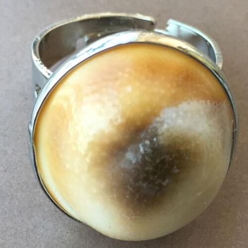 Free Shipping Women Fashion Jewelry Mother of pearl Shell Snail Women Men Bead Ring 6.5~12" US Adjust C9385