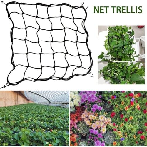 For Vegetable Durable Balcony Climbing Trellis Net Adjustable Flower Grow Tent with Hook Elastic Plant Support