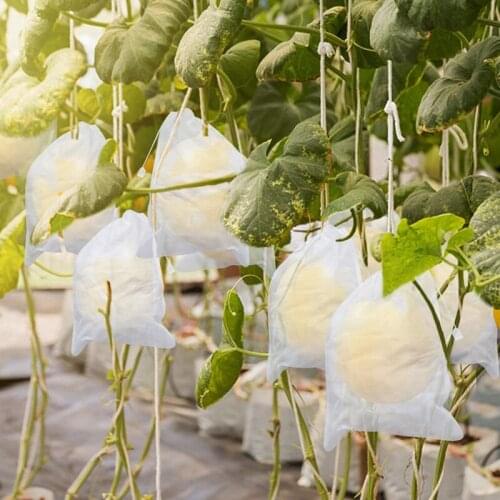 Fabric Fruit Protection Drawstring Bags 200Pcs Outdoor Cloth Mesh Blankets Covers Great for Insects Birds 24 x 36 cm