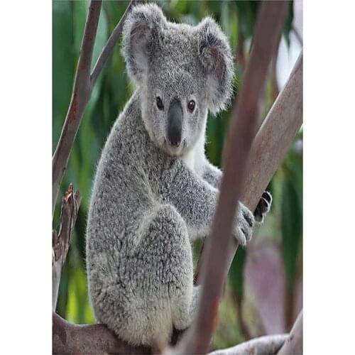 5D DIY Full Square/Round Diamond Painting Animal Koala Embroidery Cross Stitch Rhinestone Mosaic Home Decoration XN271