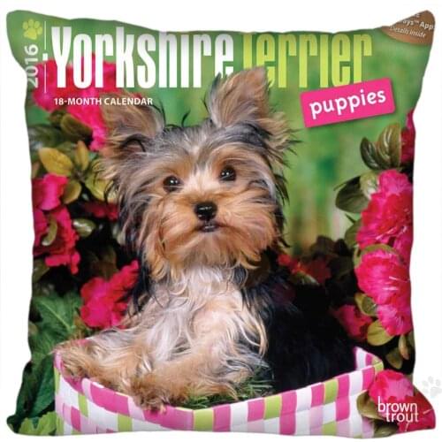 Hot Custom Yorkshire Terrier Dog Pillow Case zipper 35x35cm 40x40cm 45x45cm 60x60cm two sides pillowcase Custom your image