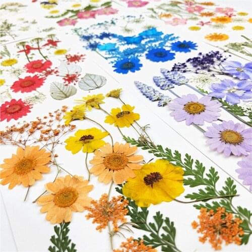 Small Real Dried Flower Dry Plants For Candle Epoxy Resin Pendant Necklace Jewelry Making Craft Diy Accessories