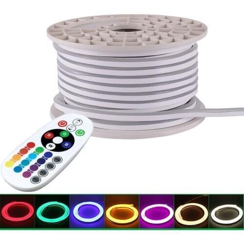 GD 100M LED Neon Strip Light With Bluetooth Remote Controller AC220V Dimmable LED Rope Light IP65 Waterproof for Outdoor use