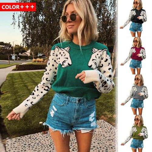 Women Leopard Pattern Knitted Pullover Sweater 2021 Autumn and Winter Female O Neck Long Sleeve Vintage Causal Sweater Jumper