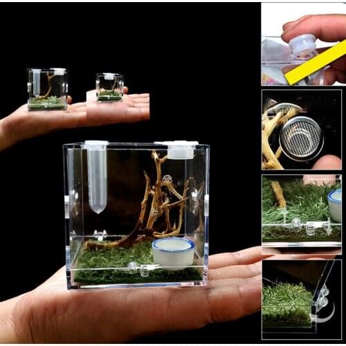 Reptile Breeding Box Acrylic Spider Lizard Scorpion Insect Breeding Box Transparent Insect Breathable Breeding Box