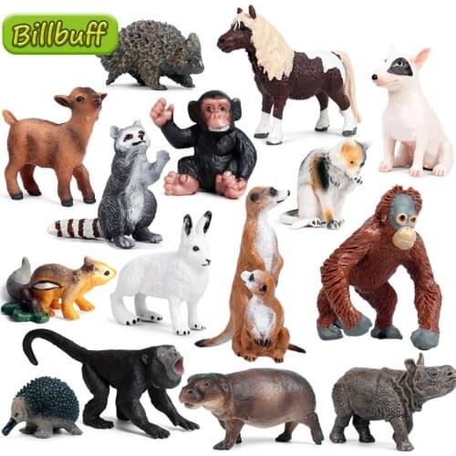 Mini Simulation Wild Zoo Animal African Rhino Hippopotamus Action Figures Raccoon Model Teaching Material Toys For Children Gift