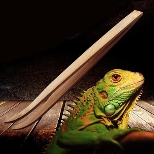 Reptile Long Super Tweezers Clips Feeding Tools Wood Bamboo Frog Spider Snakes Insects Tool Litter Terrarium Cleaning Feeding